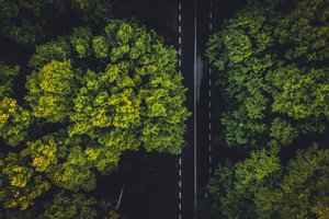 {site.name}'s Commitment to Sustainability in 2022 and Beyond {site.name}'s Commitment to Sustainability in 2022 and Beyond