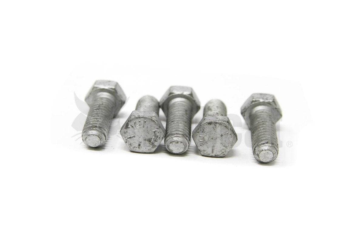 Genuine Bobcat Bolt, 17C616  shown in a group of 5 showing threads and heads.